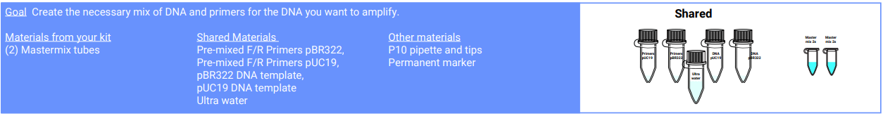Amino labs PCR-IT KIT Classroom Instruction Manual Amino Labs PCR-IT KIT Classroom-13