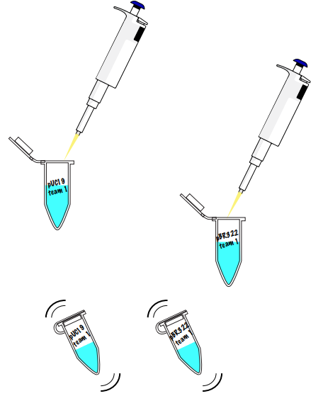 Amino labs PCR-IT KIT Classroom Instruction Manual Amino Labs PCR-IT KIT Classroom-15