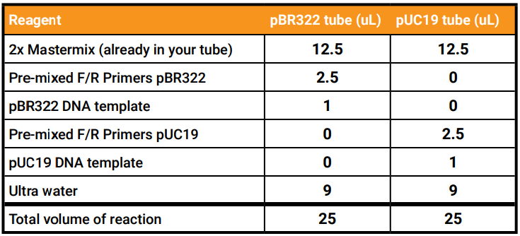 Amino Labs PCR-IT KIT Classroom-16
