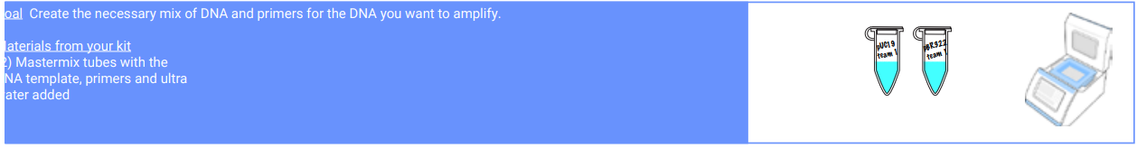 Amino labs PCR-IT KIT Classroom Instruction Manual Amino Labs PCR-IT KIT Classroom-17