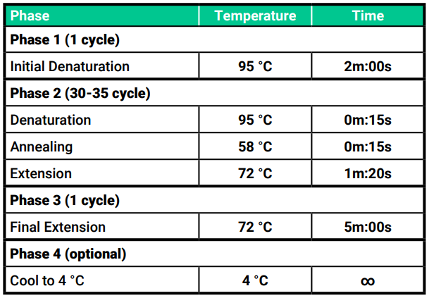 Amino Labs PCR-IT KIT Classroom-18