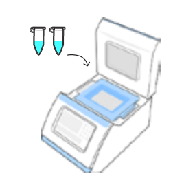 Amino labs PCR-IT KIT Classroom Instruction Manual Amino Labs PCR-IT KIT Classroom-19