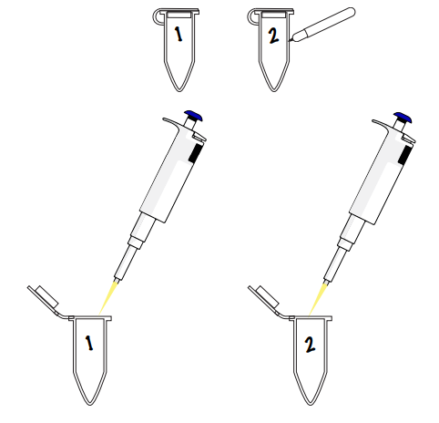 Amino labs PCR-IT KIT Classroom Instruction Manual Amino Labs PCR-IT KIT Classroom-22