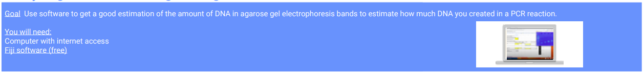 Amino labs PCR-IT KIT Classroom Instruction Manual Amino Labs PCR-IT KIT Classroom-24