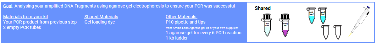Amino labs PCR-IT KIT Classroom Instruction Manual Amino Labs PCR-IT KIT Classroom-26