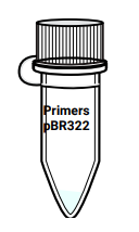 Amino labs PCR-IT KIT Classroom Instruction Manual Amino Labs PCR-IT KIT Classroom-5