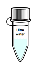 Amino labs PCR-IT KIT Classroom Instruction Manual Amino Labs PCR-IT KIT Classroom-7