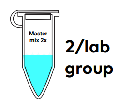 Amino labs PCR-IT KIT Classroom Instruction Manual Amino Labs PCR-IT KIT Classroom-9
