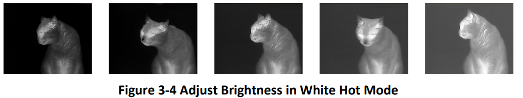 HIKMICRO LYNX Pro Series Thermal Monocular User Guide HIKMICRO LYNX Pro Series Thermal Monocular User Guide 12