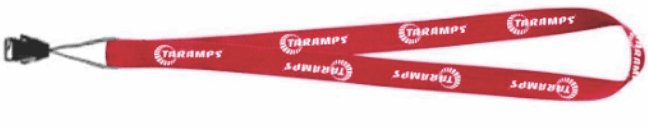Taramps Amplayer 400 Car Stereo Player User Manual 5