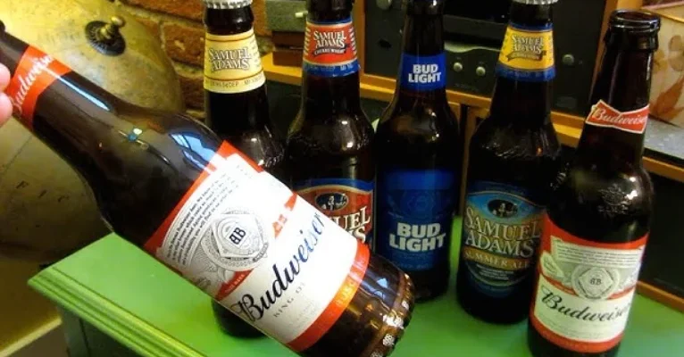 Budweiser BW-BBS-001 Bottle Speaker Instruction Manual feat