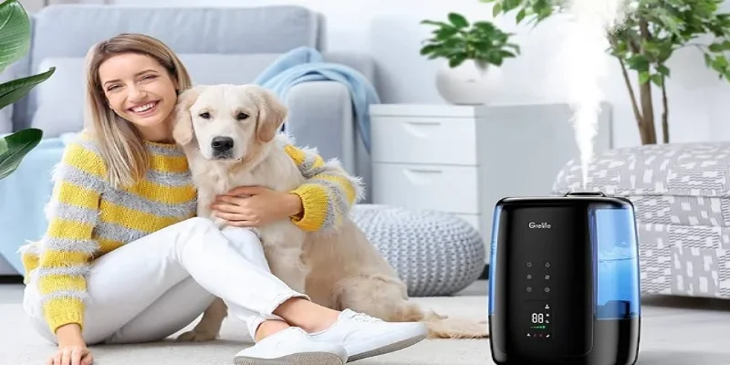 Grelife JDJSQ0002AGL 5L Ultrasonic Warm and Cool Mist Humidifier- feat image