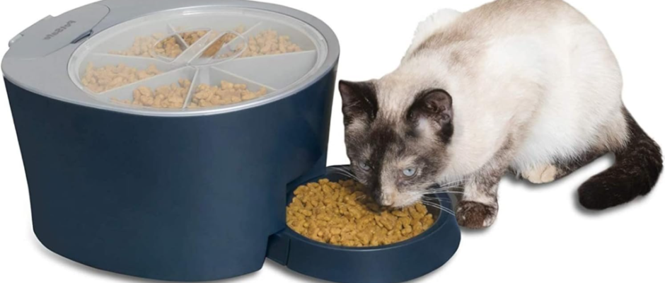 PetSafe PFD00-15956 6-Meal Automatic Cat Feeder User Manual PetSafe PFD00-15956 6-Meal Automatic Cat Feeder featured 1