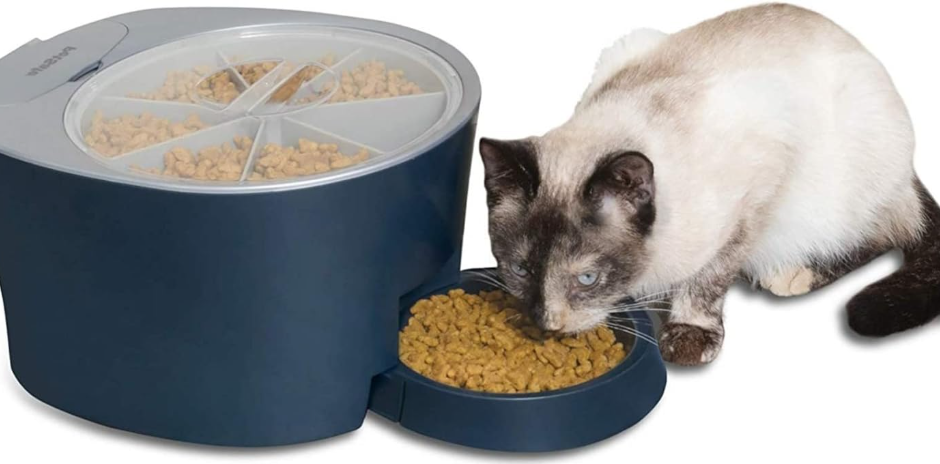 PetSafe PFD00-15956 6-Meal Automatic Cat Feeder featured 1