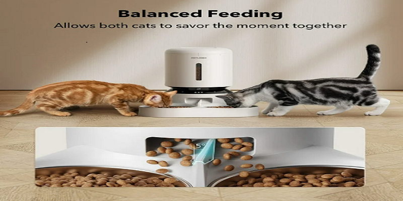 Petlibro PLAF006 Double Bowl Granary Automatic Feeder User Manual