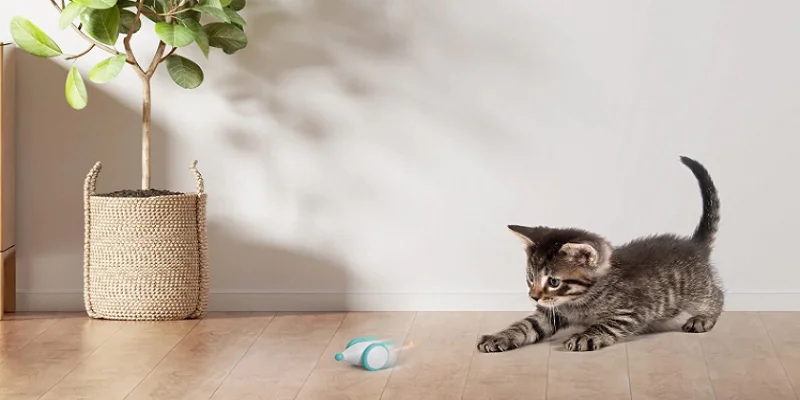 Petlibro PLIT002 Pixie Mouse Interactive Toy User Manual