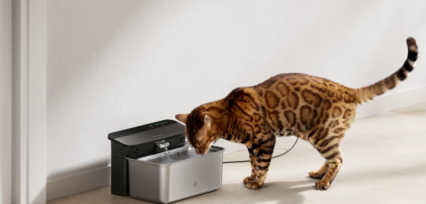 Petlibro PLWF007 Glacier Ultrafiltration Stainless Steel Pet Water Fountain User Manual | ManualsLibraryy