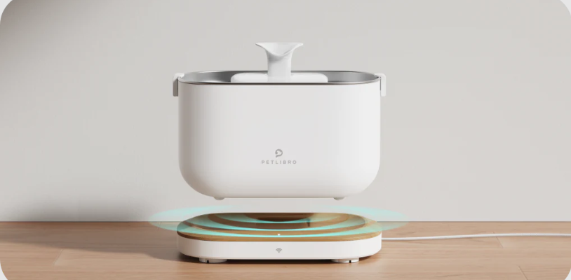 Petlibro PLWF105 Dockstream Smart Fountain User Manual Petlibro PLWF105 Dockstream Smart Fountain featured