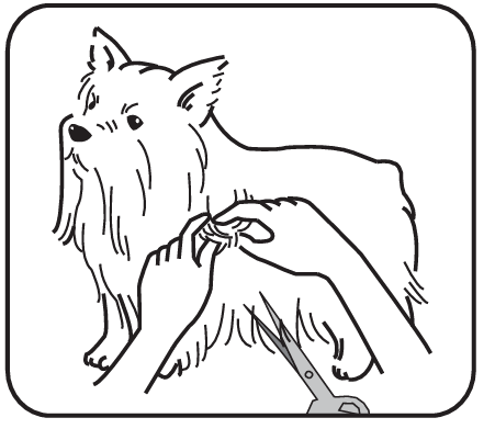 Petwant ECO1 Pet Hair Grooming Clipper 16