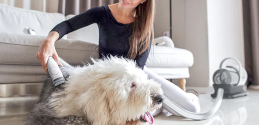 Petwant ECO1 Pet Hair Grooming Clipper featured image