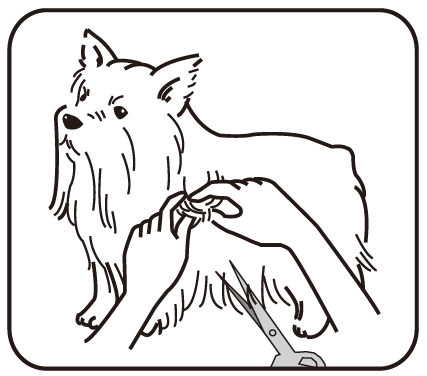 Petwant ECO2 Pet Hair Grooming Trimmer 15