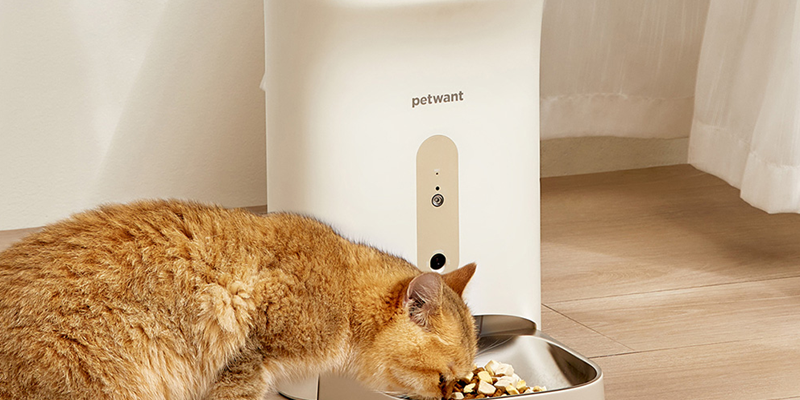 Petwant F11-C Automatic Smart Pet Feeder-featured