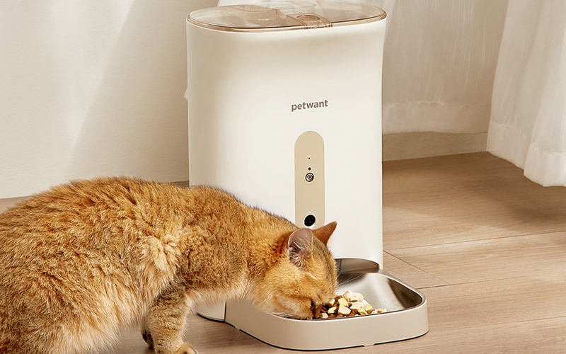 Petwant F11-C Automatic Smart Pet Feeder-featured