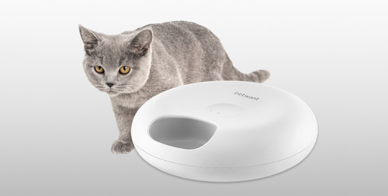 Petwant F13 6-Meal Smart Pet Feeder User Manual Petwant F13 6-Meal Smart Pet Feeder feat