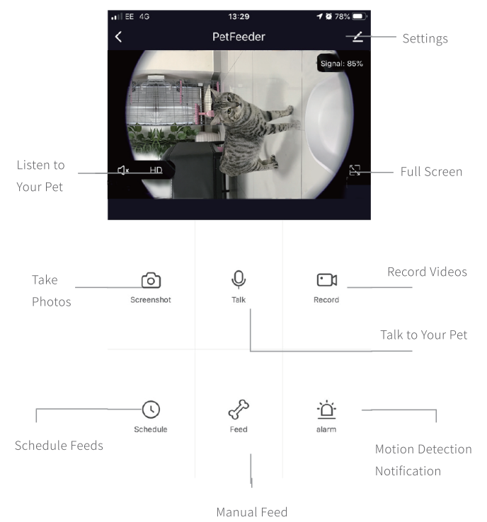 Petwant F3-C Smart Pet Feeder with Camera-18