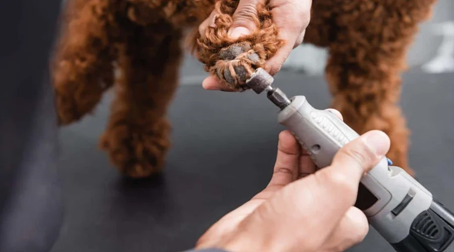 Petwant N30 LED Pet Nail Grinder User Manual