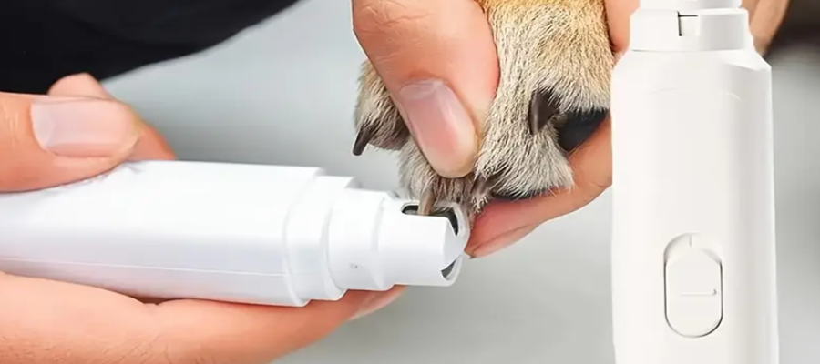 Petwant N60 Pet Nail Grinder User Manual Petwant N60 Pet Nail Grinder featured image