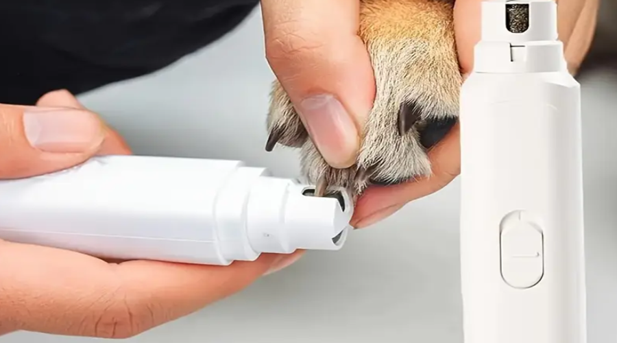 Petwant N60 Pet Nail Grinder User Manual