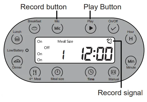 Petwant PF-122 Automatic Pet Feeder with Window-12