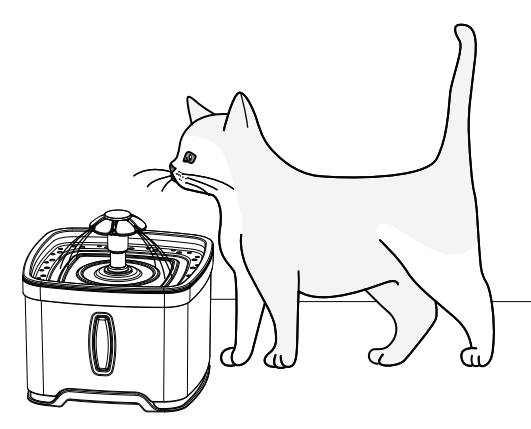 Petwant PW-107 Stainless Steel Pet Water Fountain 5