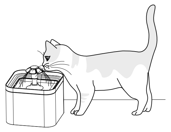 Petwant PW-109 2L Water Fountain User Guide Petwant PW-109 2L Water Fountain User Guide 5