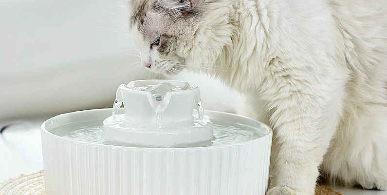 Petwant PWC-101 Porcelain Pet Water Fountain User Manual feat