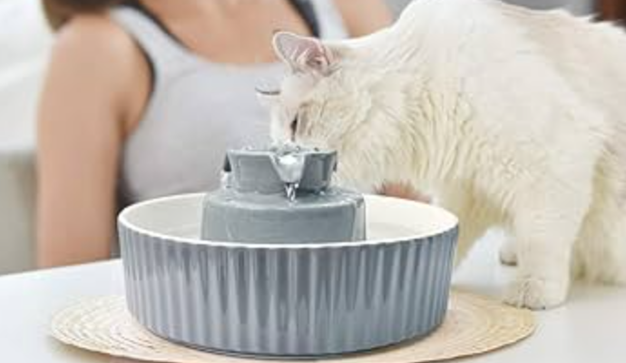 Petwant PWC-105 Ceramic Pet Water Fountain User Guide Petwant PWC-105 Ceramic Pet Water Fountain User Guide feat