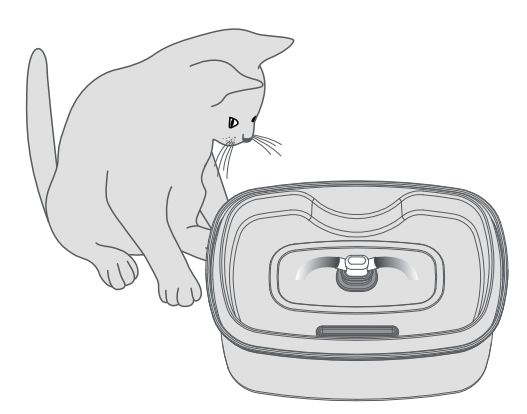 Petwant PWS-109 2L Stainless Steel Pet Water Fountain Instructions Petwant PWS-109 2L Stainless Steel Pet Water Fountain Instructions 6