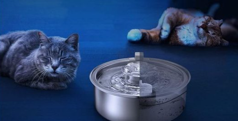 Petwant PWS-109 2L Stainless Steel Pet Water Fountain feat