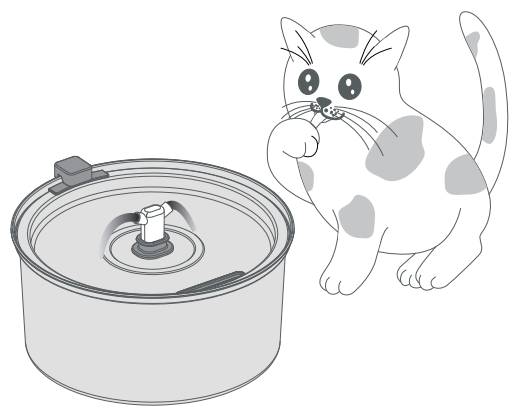 Petwant PWS-112 Pet Water Fountain Instruction Manual 5