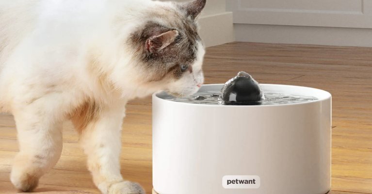 Petwant PWS-112 Pet Water Fountain Instruction Manual feat