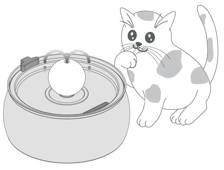 Petwant PWS-118 Pet Water Fountain 5