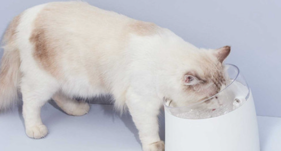 Petwant W2 Smart Pet Water Fountain User Manual