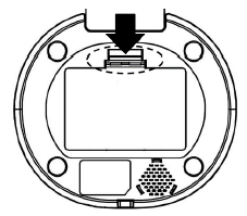 Rasonic SMART FEED Automatic Pet Feeder-16