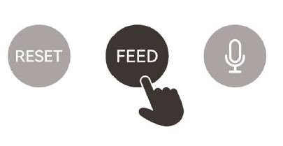 Rasonic SMART FEED Automatic Pet Feeder-18