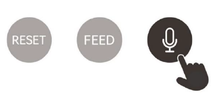 Rasonic SMART FEED Automatic Pet Feeder-19