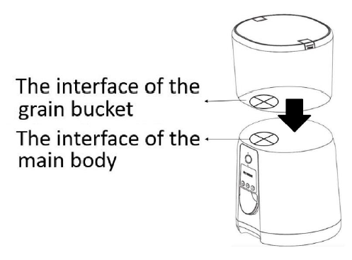 Rasonic SMART FEED Automatic Pet Feeder-5