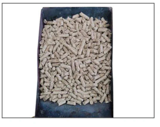 Big Horn SRPG18003 Wood Pellet Pizza Oven User Manual 13