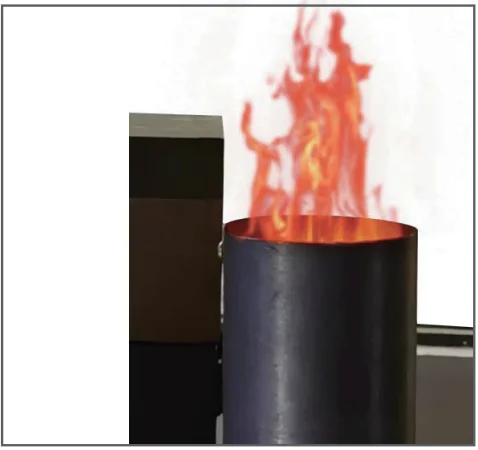 Big Horn SRPG18003 Wood Pellet Pizza Oven User Manual 17