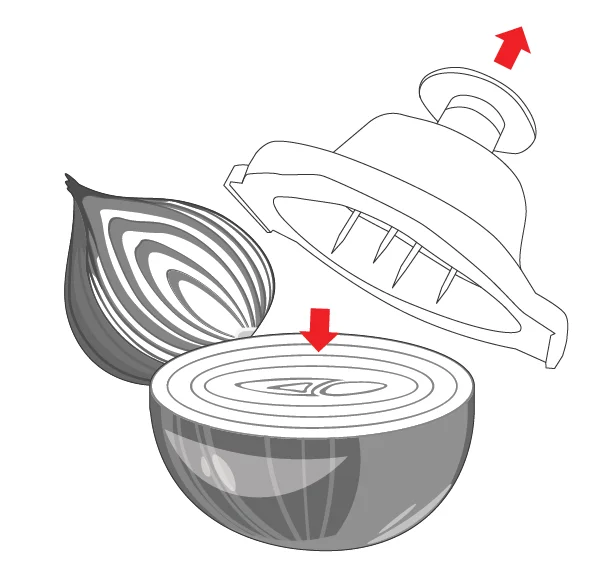 Dartwood All-in-One Vegetable Chapper 10